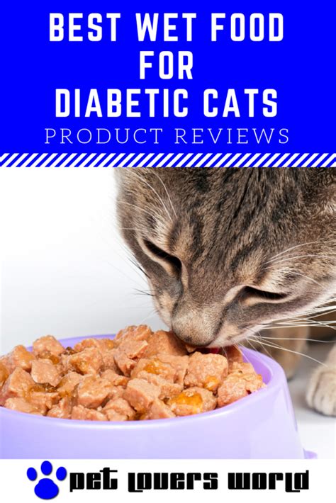 Best food for diabetic cat. Things To Know About Best food for diabetic cat. 